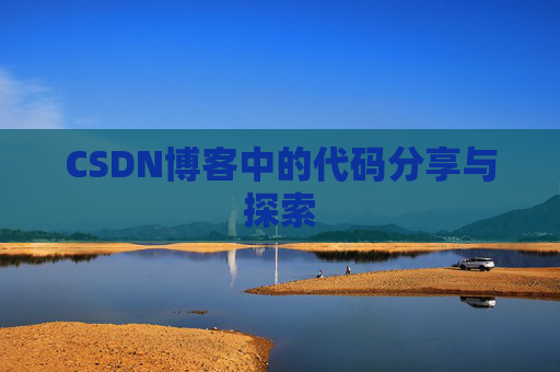 CSDN博客中的代码分享与探索
